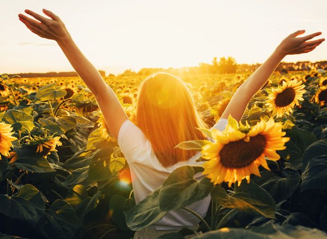 Sunny beautiful picture of young cheerful girl holding hands up in air and looking at sunrise or sunset. Stand alone among field of sunflowers. Enjoy moment