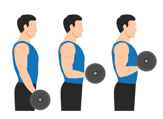 Man doing Barbell drag bicep curls exercise. 21 bicep exercise. 7 Steps side view.Arm workout. Flat vector illustration of a fitness man isolated on white background 