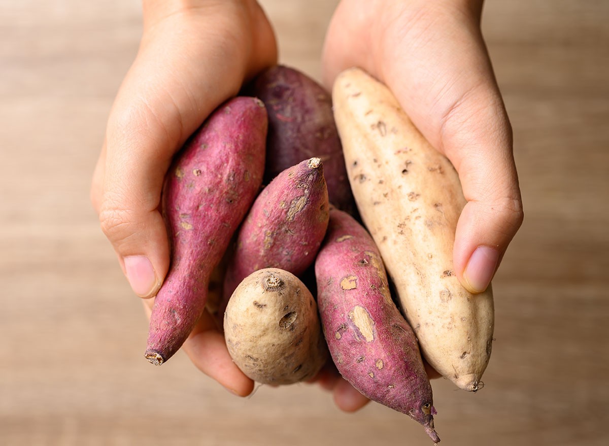 Organic Asian sweet potatoes holding by hand