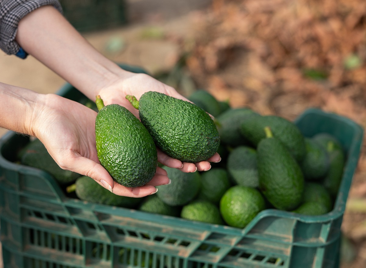 Ripe,Avocados,In,Hands,Against,The,Background,Of,Boxes,With