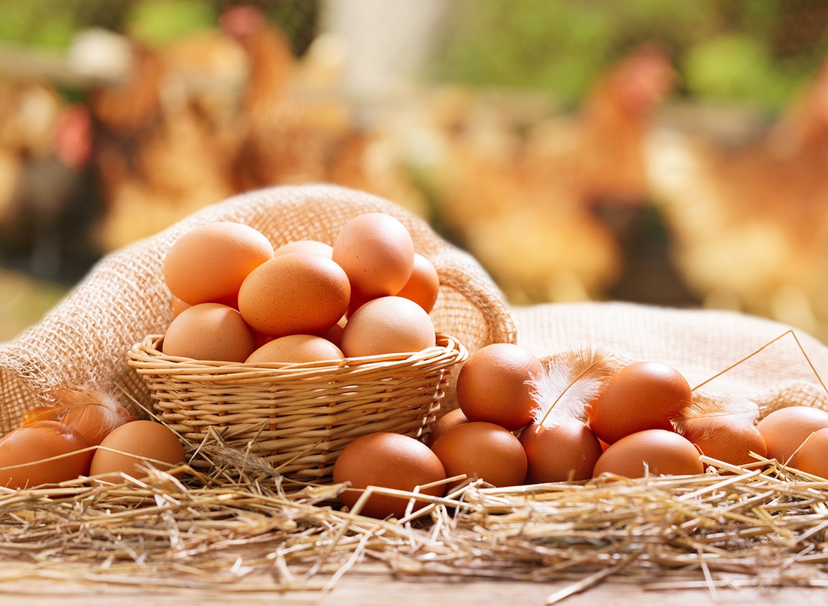 Basket,Chicken,Eggs,Farm, protein, food