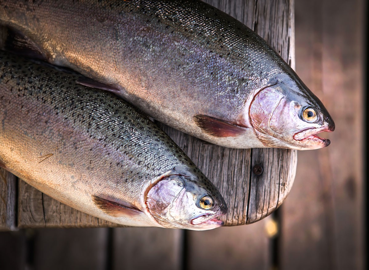 trout area fishing