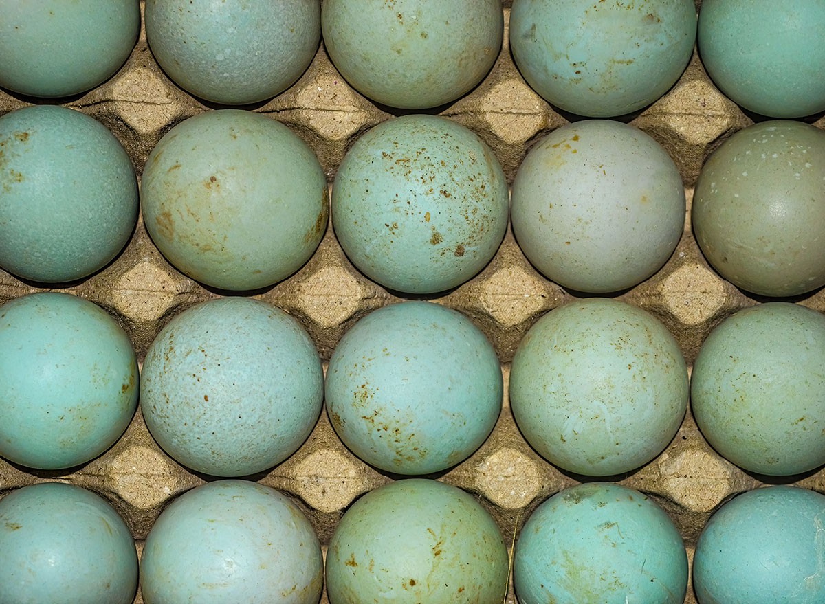 duck eggs neatly arranged in an egg box or tray to be processed into salted eggs