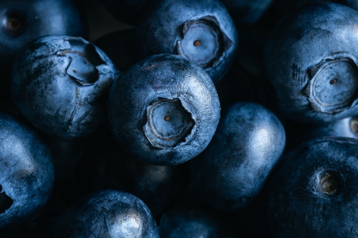 Fresh,Blueberry,Background,,Texture,Blueberry,Berries,Close,Up,,Macro,Shot.